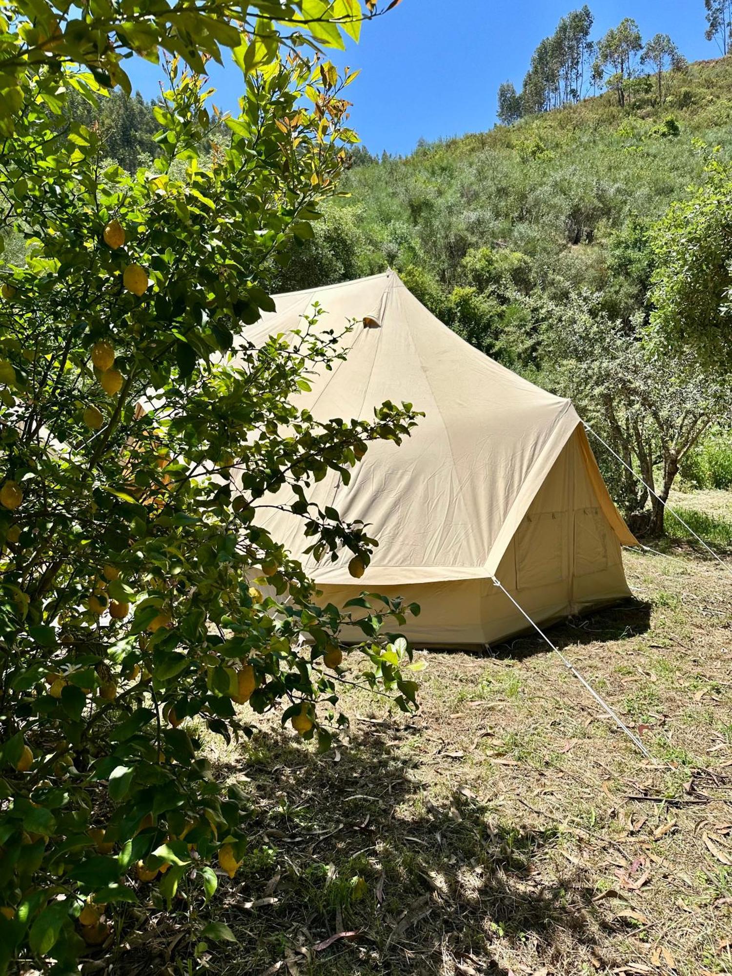 Giant Canvas Rental Tent Agro-Turismo Quinta Da Fonte Figueiro Dos Vinhos Exterior foto